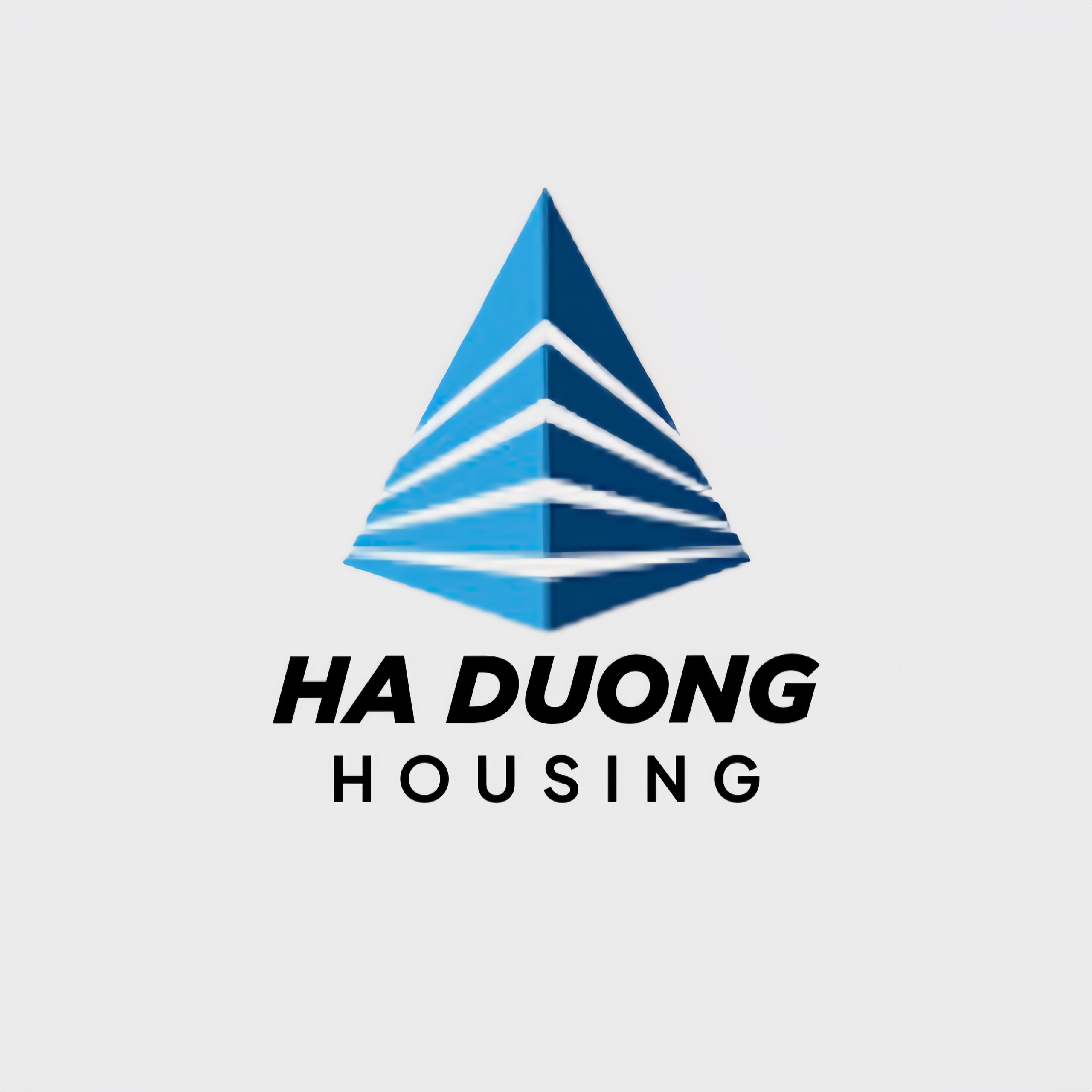 HA DUONG HOUSING